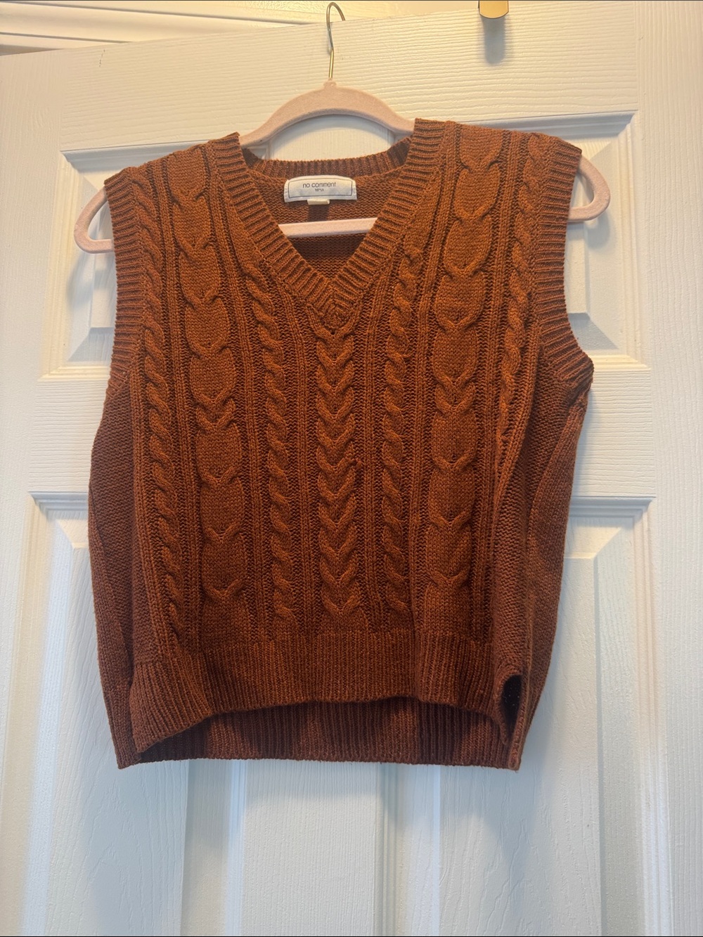 No Comment Cable Knit V-Neck Sweater Vest in Rust
